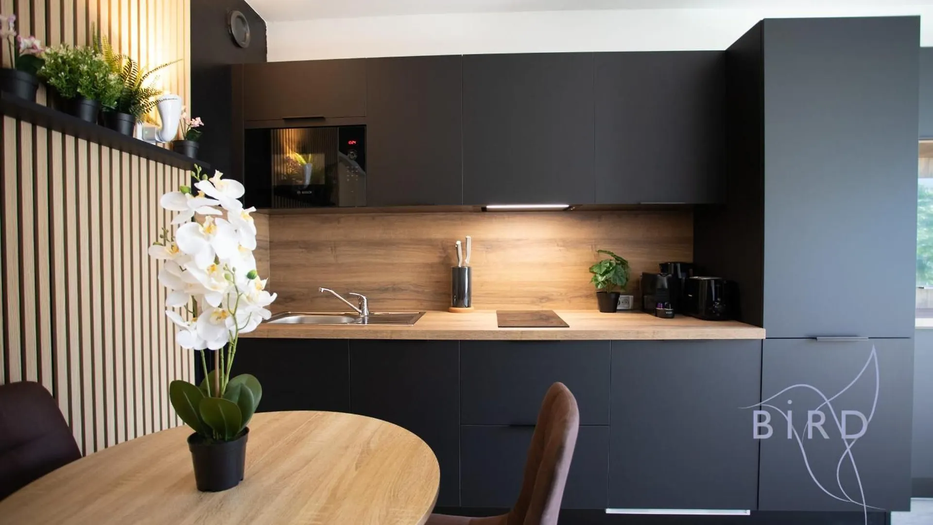 Sunny Flat In Juan Les Pins Apartment Juan-les-Pins